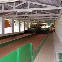 Hotel Cavalinho Branco, 阿瓜斯迪林多亚 — 照片 5