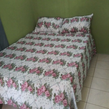 Tranquility Guest House, Buff Bay — photo 3