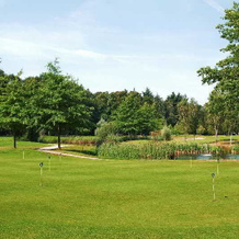 Doubletree By Hilton Royal Parc Soestduinen, Суст — фото 5