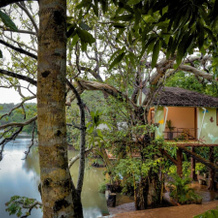 Whistling Woodzs Resort, 巴琼德 — 照片 4