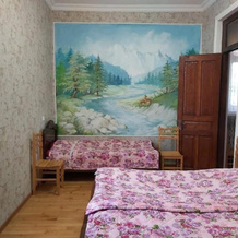 Guest House Champion, 马尔特维利 — 照片 2