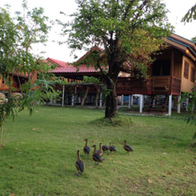 The Little Lopburi Village, Lop Buri — photo 2
