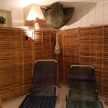 Erzgebirgshotel Misnia, 阿尔滕贝格 — 照片 5