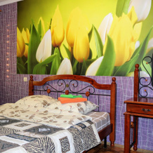 Apartamenty na Lizy Chaykinoy 16, Vyksa — photo 2