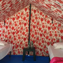 The Raajas - Camp & Resorts, 白洲 — 照片 4