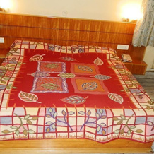 Hotel Yamini, 帕拉姆普尔 — 照片 3