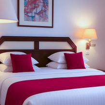 Hotel du Parc - Centre Ville, Mulhouse — photo 3