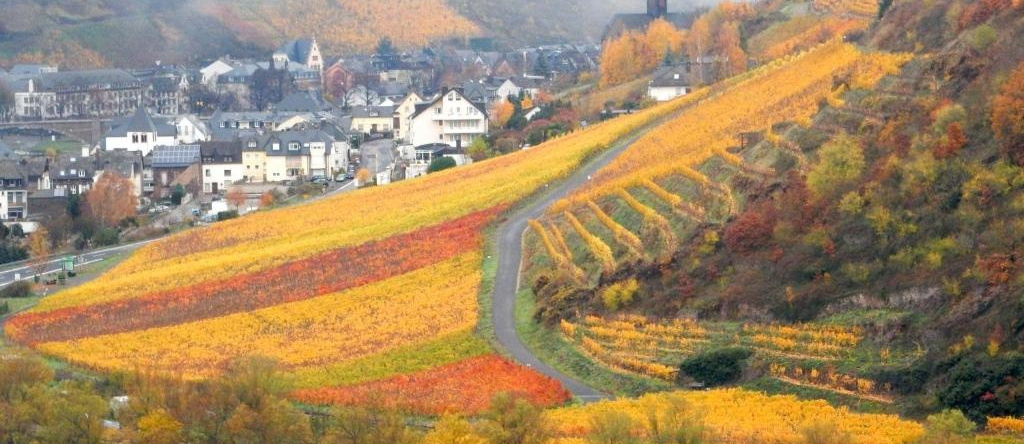 Apartment Happy Mosel, 塞尔 — 照片 1