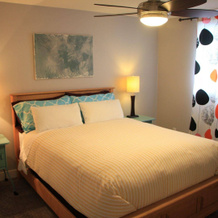 Stoneshire Guesthouse, Clearwater — photo 3