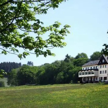 Hotel Panoramablick Wildewiese, Зундерн — фото 2