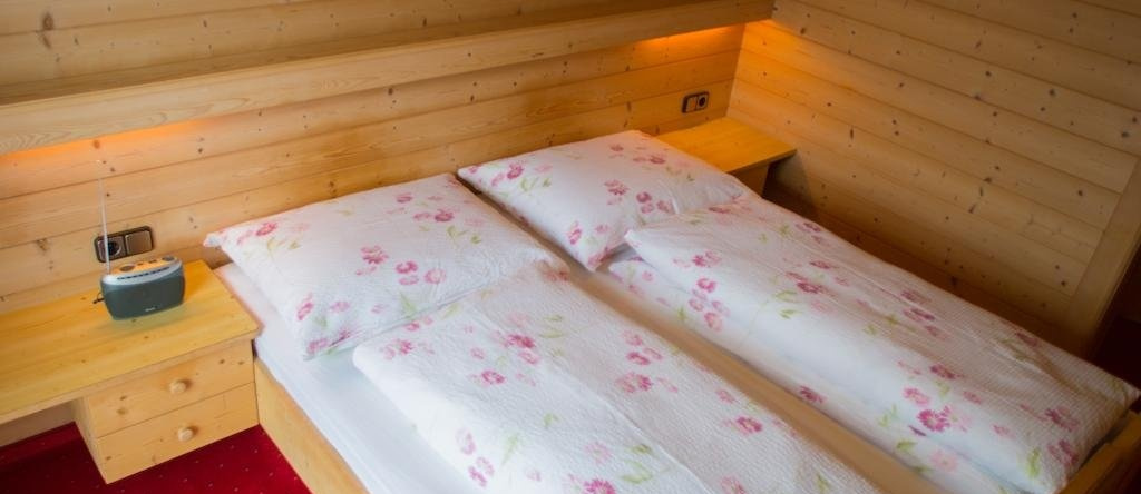 Pension Alpenhof, 阿斯林 — 照片 1