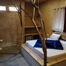 Offbeat Abodes - Tirthan Valley, Банджар — 照片 3
