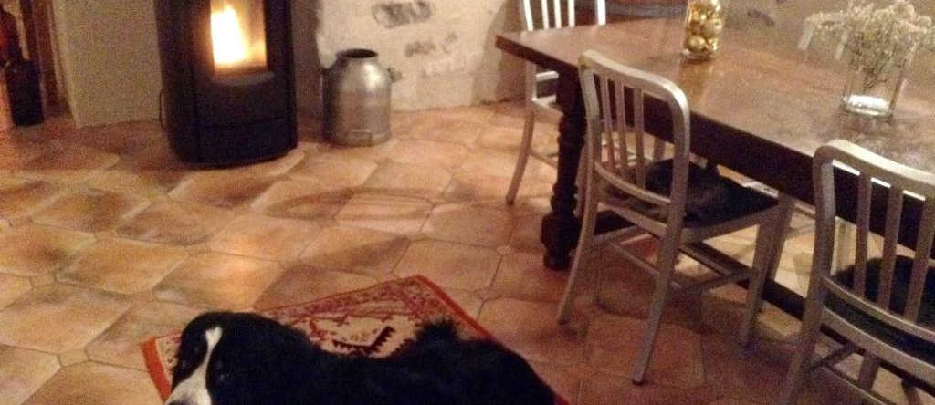 Le Logis de la Chouette, 安茹地区博热 — 照片 1