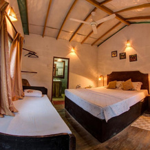 360 Rainforest, Poddana — photo 5
