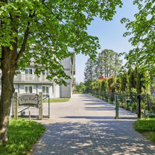 Vejo Bure, Palanga — photo 5