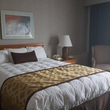 Hibbing Park Hotel & Suites, 希宾 — 照片 5