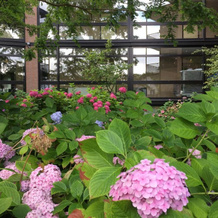 Van der Valk Hotel Leiden, 莱顿 — 照片 2