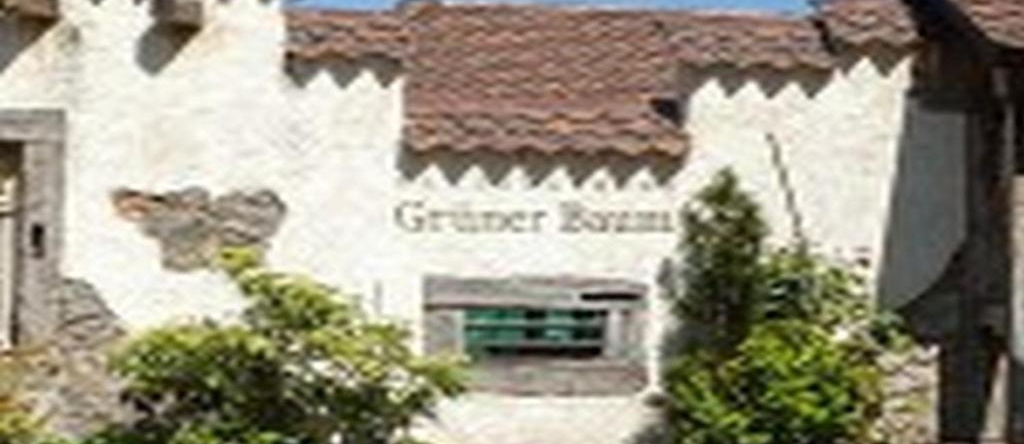 Landgasthaus Grüner Baum, 西蒙斯瓦尔德 — 照片 1