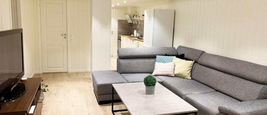 Newly renovated basement apartment, Sarpsborg — photo 1