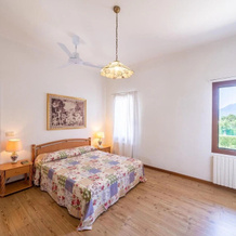 Petrarca 1, 尤加尼山丘地区公园 — 照片 2