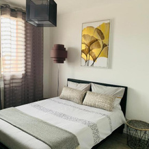 APPARTEMENT COEUR de ROANNE, 罗阿讷 — 照片 5