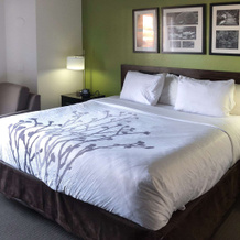 Days Inn By Wyndham Mcdonough, Макдоно — фото 4