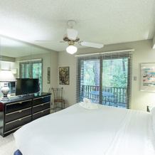 Forest view two bedroom, two bath condo on Lake Ouachita, steps away from pool and spa. by RedAwning, 艾达山 — 照片 4