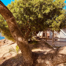 Valinco Village, 塞拉迪费罗 — 照片 2