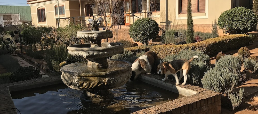 Clarens Butterfly Villa, 克拉伦斯 — 照片 1