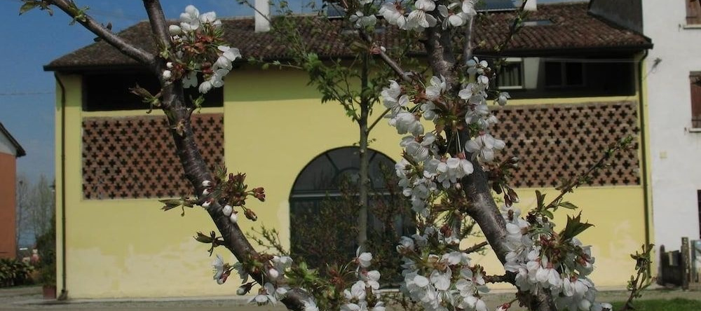 B&B Corte Cornalino, 罗韦尔贝拉 — 照片 1