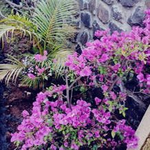 Ivy Orchids Villa - Lonavala, Лонавала — фото 3