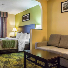 Comfort Hotel & Suites, Питерборо — фото 4