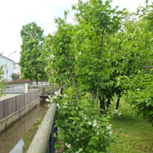 Modern Accommodation, Just Renovated, Private Garden, Wifi, Near Treviso, 沃尔帕戈德尔蒙泰洛 — 照片 5
