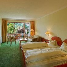 Hotel Birkenhof Am See, Санкт-Канциан-ам-Клопайнер-Зее — фото 3