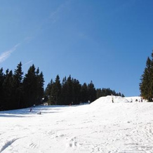 Chata Martin Martinské hole, Martin — photo 2