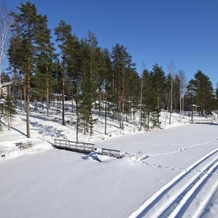 Tallusniemi Villas, Савонлинна — фото 5