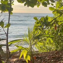 Surrounded By Trees In Front Of The Sea, 卡布伊亚 — 照片 4