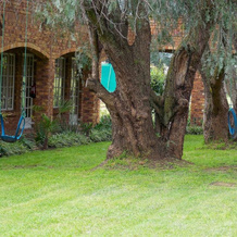 Sarabi Country Lodge, Daveyton — photo 4