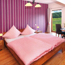 Gästezimmer Mack, Эстрих-Винкель — фото 4