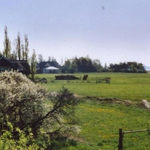 Ferienwohnungen Born, Born auf dem Darss — photo 3