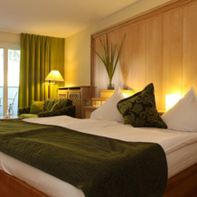 La Clairiere Bio & Spahotel, 拉佩蒂特皮埃尔 — 照片 2