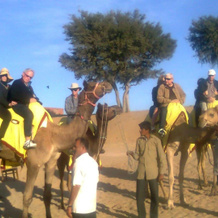 Safari Camp Osian Resort, Осиян — фото 5