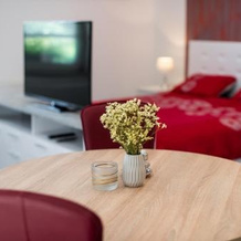 Apartment Lucija-Terme Šmarješke Toplice, Trebelno — photo 5