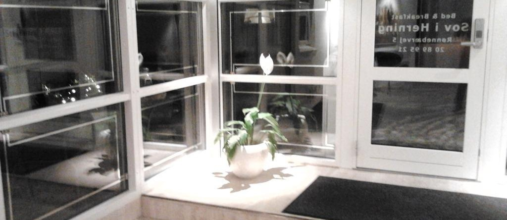 Hotel Sov Godt Herning, 海宁 — 照片 1