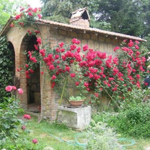 Agriturismo Montepereto, 格罗特迪卡斯特罗 — 照片 5