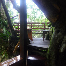 Topos Tree House, Кауита — фото 2