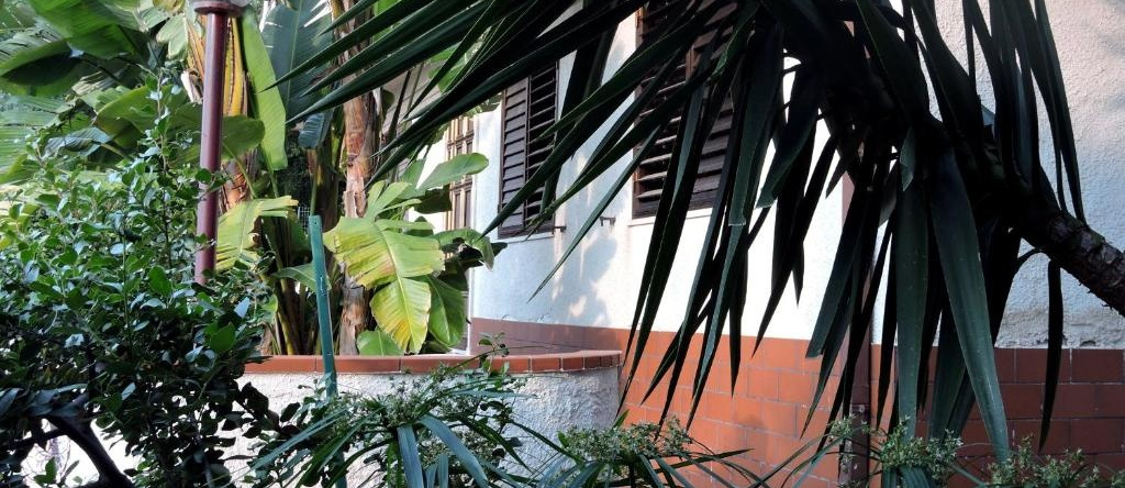 Casa del Cedro, 维博瓦伦蒂亚 — 照片 1