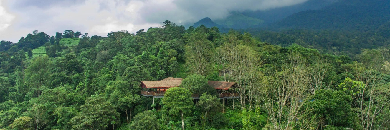 Vythiri Mist Resort, Vellamunda — photo 1