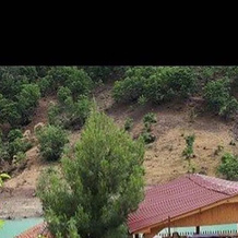 Ucar Pansiyon, Yahyali — photo 5