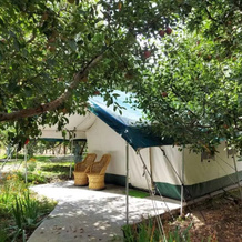 Apple Orchard Farm and Camping, 塞林切 — 照片 4